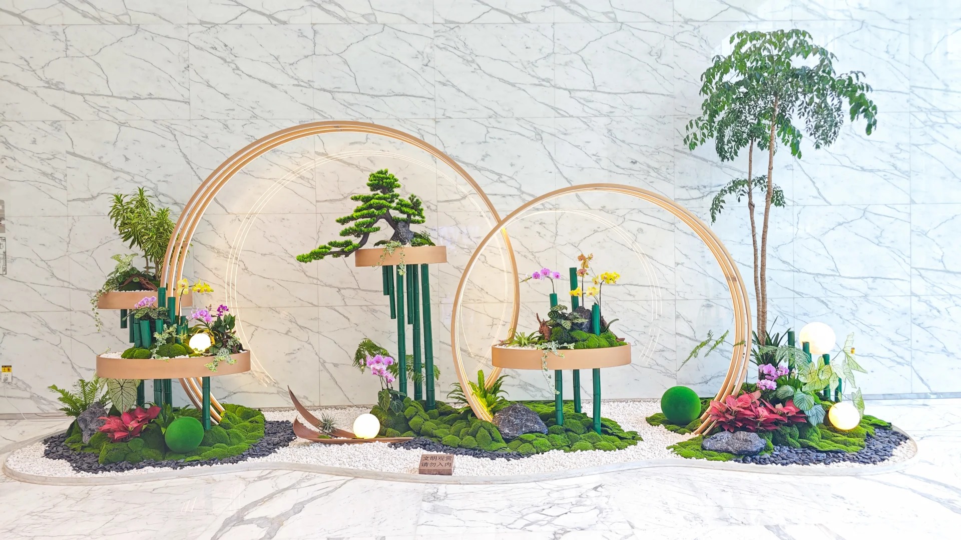 体验宁波海曙盆景出租，优质服务，装点美好家！